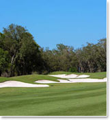 Daily fee and semiprivate courses