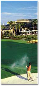 Saddlebrook Resort