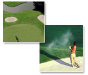Resort stay and play